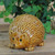 3.5" Pudgy Pals Relaxed Spined Tan Porcelain Hedgehog Table Top and Garden Figure