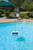 20" Blue and White Swivel Skim Elite Swimming Pool Bi-Directional Skimmer