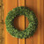 Natural Fiber Artificial Boxwood Christmas Wreath - 24-Inch, Unlit