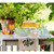 Set of 2 Orange and Clear Retro Striped Wine Glasses 10.5 oz.