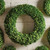 Natural Fiber Artificial Boxwood Christmas Wreath - 30-Inch, Unlit