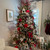 47" White Frosted Pine Artificial Christmas Spray