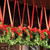 Natural Fiber Artificial Boxwood Christmas Wreath - 6.5-Inch, Unlit