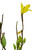 9" Yellow Forsythia Flower Branch Artificial Spring Pick Decoration