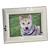 5" x 7" Rectangular Silver with Puppy Paw Print Border Photo Frame
