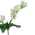 8" White and Green Baby's Breath Spring Floral Spray