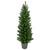 4' Potted Virginia Pine Walkway Slim Artificial Christmas Tree - Unlit
