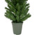4' Potted Virginia Pine Walkway Slim Artificial Christmas Tree - Unlit