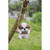 5.5" Brown and White Hanging Shih Tzu Puppy Statue