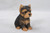 6.5" Black and Brown Yorkshire Terrier Puppy Figurine