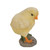 Set of 2 Baby Chicks Outdoor Garden Figurine 4.50"