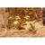Set of 2 Yellow Little Duckling Decorative Outdoor Farm Statues 4.5"