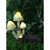 11" Yellow and Brown Mushrooms and Snails Solar Lights