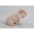 7.5" Pink and Light Gray Baby Pig Outdoor Figurine