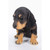 7.5" Black and Brown Dachshund Puppy Statue