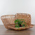 Set of 3 Brown Rectangular Lattice Tobacco Table Top Baskets