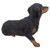 19.5" Black and Brown Crawling Dachsund Outdoor Garden Figurine