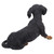 19.5" Black and Brown Crawling Dachsund Outdoor Garden Figurine