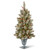 4' Pre-lit Potted Snowy Bristle Berry Entrance Artificial Christmas Tree, Clear Lights