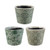 Set of 3 Green and White Botanical Style Naturespire Planters 5.5"