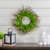 Burrs and Brush Artificial Floral Spring Wreath, Green and Yellow - 18-Inch