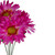 13" Pink and Green Artificial Daisy Bouquet