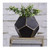 9" Black and Gold Hexagonal Metallic Planter