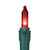 Set of 50 Red and Clear Mini Christmas Lights, 2.5" Spacing - Green Wire
