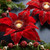 12" Red Glittered Poinsettia Christmas Candle Holder - 32618540