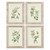 Set of 4 Green and Beige Distressed Olive Branch Framed Wall Art Decors 21.5"