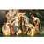 8-Piece Religious Ceramic Christmas Nativity Set