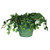 8" Green Ribbed Rim Round Eco-Friendly Flower Planter - 33532728