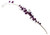 33" Purple Sugared Fruit Floral Craft Spray with Glitter Accents - 11211145