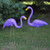 Set of 2 Tropical Purple Flamingo Outdoor Lawn Stakes 33"