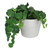 6" White Ribbed Rim Round Eco-Friendly Flower Planter