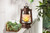 Set of 2 Brown and Silver Colored Antique Style LED Lantern with Frosted Glass Globe Body 9.5"