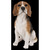 14.75" Brown and White Beagle Dog Sitting Outdoor Garden Statue