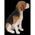 14.75" Brown and White Beagle Dog Sitting Outdoor Garden Statue