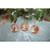 Set of 6 Red and Beige "Merry Christmas" Disc Hanging Christmas Ornaments 3.75"