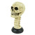 9.5” Distressed White Cracked Skull with Spine Halloween Decoration