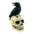 6.5" Black and White Sitting Crow on Skull Halloween Decoration