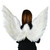 35" White Feather Accented Wings Halloween Costume Accessory - One Size Fits Most