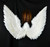 35" White Feather Accented Wings Halloween Costume Accessory - One Size Fits Most