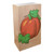 Set of 24 Brown Festive Holiday Pumpkin Luminaria Bags, 11”