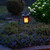 30.25" Black Solar Lantern with Shepherds Hook Stand Lantern
