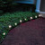 16’ Clear Pathway LED String Lights