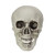 Pack of 6 Skull Head Halloween Decorations 3.5"