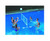 86" White Water Sports Swimming Pool Floating Volleyball Game With Net And Ball