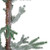 Frosted Slim Pine Artificial Christmas Tree in Burlap Base - 5' - Unlit