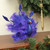 9.5" Purple and Blue Peacock with Open Tail Feathers Christmas Tabletop Decor